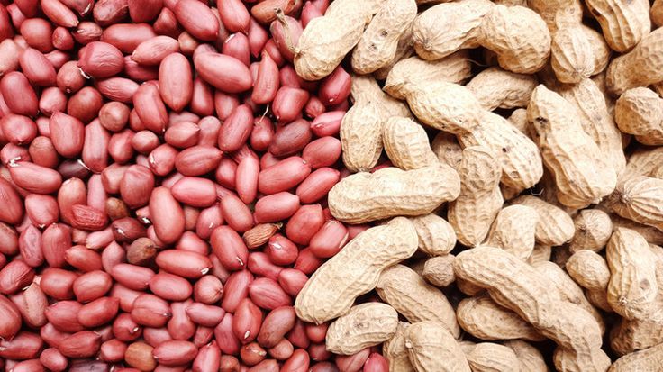 Groundnuts